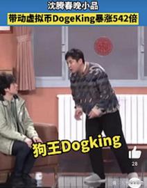 春晚带火元宇宙？一虚拟币暴涨几百倍_PRINT:PRI