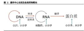 医药行业细胞基因治疗CDMO深度报告：搭乘新世代药物发展浪潮_NFT:CARTEL币