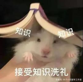 JLPT/EJU/JTEST次搞懂：常见日语考试简介与选择指南_: