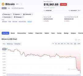 比特币价格跳水，日内连失2万及1.9万美元关口，跌破18个月以来最低价_比特币价格:加密货币市场规模分析
