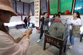 快手小店怎么报白古钱币？纪念币如何添加类目？报白有什么条件？_AMP:ING