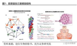 胶原蛋白行业深度研究报告：未来增长犹可期_300:ONG