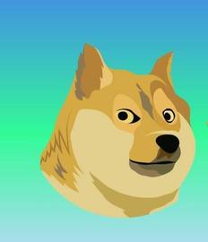 什么是狗狗币（DOGE）？2022 年可以买狗狗币吗？_区块链:ruff币区块链最新消息