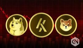 狗狗币（DOGE）和柴犬（SHIB）处于亏损状态时投资的顶级加密货币_DEA:加密货币