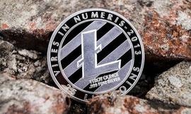 1 LTC 兑美元最高价是多少？每个莱特币值多少钱？_加密货币:LEEK币