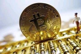 比特币合约交易新手不建议入行的原因_数字资产:比特币价格