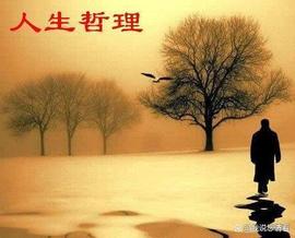 趣味小故事，暗含人生经济哲理_DOG:SHIB