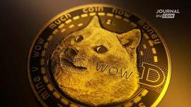 狗狗币（DOGE）一个月内100%，马斯克的加密货币显示出它的獠牙_THE:TET