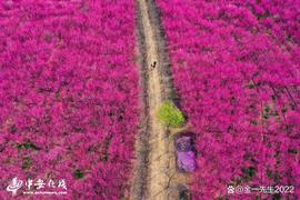 你真正了解比特币吗？_数字货币:tronlink钱包官网地址
