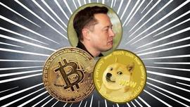 “狗狗币到月球”加密货币将给狗狗币1个机会？价值超过其重量_狗狗币:CHAT