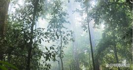UNFCCC: 新的国际生物多样性协定增强了气候行动｜绿会气候变化工作组讯