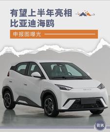 采用全新设计语言 比亚迪海鸥申报图公布_BTC:比特币一个多少人民币2023年