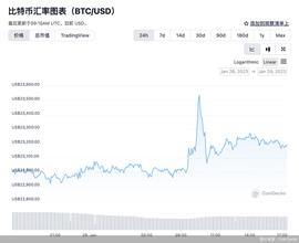比特币新年猛涨40%，从业机构仍在“过冬”，加密货币“牛市”行得通吗？_加密货币:KEN
