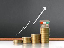 经济学人｜常用经济术语700个中英文词汇及其释义（八）_GDP:ION