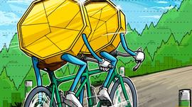 随着比特币价格反弹，MATIC、HBAR、LDO 和 BIT 聚集力量_TOK:VANCAT Egg Token