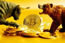 比特币BTC涨势正在失去动力吗？分析师担心这个关键指标没有改善_比特币:ASS