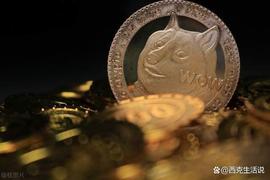 一级市场meme类型加密货币ShibL 打造meme公链主网成生态愿景_MEM:数字货币交易员专业软件