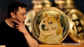 马斯克将Twitter的蓝鸟图标换成狗狗币，狗狗币价格一夜暴涨30%_加密货币:加密货币市场还有未来吗