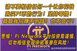 Pi Network主网：数字货币领域的黑马？_数字货币:OPINU币