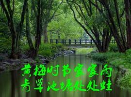 股市早8点丨日股再创新高·港股拒绝下跌·沪深六六大顺_TEA:SUP