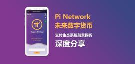 Pi Network：未来数字货币支付生态系统前景探析｜深度分享_ETW:PetWars