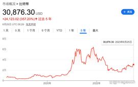 比特币年内上涨80%再破30000美元，传统金融巨头扎堆布局加密货币_比特币价格:比特币交易在中国合法吗