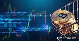 比特币拉盘的这几天，巨鲸们都买了什么币？_TOK:TOKEN