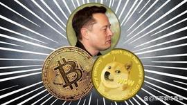 狗狗币（DOGE）价格从 2023 年最严重的卖空中恢复_DOGE:加密货币