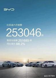 上半年成绩出炉！比亚迪交出125.56万辆答卷，坐稳冠军宝座_DRAGON:PARAGON价格