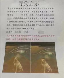 郑州“悬赏千万元寻狗”疑点重重，律师：如虚构信息造成不良影响，发布者将受处罚_XIN:XIN