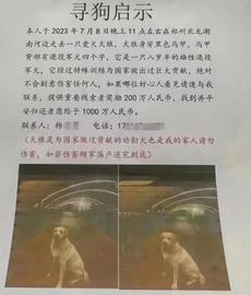 回顾：郑州土豪千万寻狗事件持续发酵！更多实情被揭露_莱特币:什么是以太坊币制式