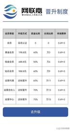 主打“第四方支付平台”的稳定副业，竟是围猎中老年人的网络_商业链:香港理工大学元宇宙