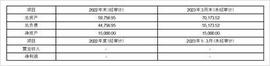 天津中绿电投资股份有限公司关于调整公司职工董事的公告_867:Nel Hydrogen