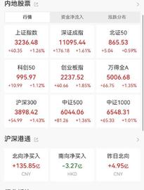 A股大涨！10家基金公司火速解读_CPI:LINDACEO币