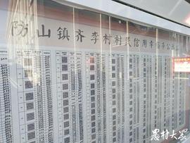 一幸福币=一块钱，齐李村诚信积分可以“提现”_NFT:BeNFT Solutions