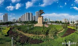 河北邯郸诞80后富豪魏志勇，本是富二代却自力更生，如今身价31亿_ITS:bitstamp交易平台