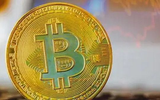 律师观点：华语区受害者和机构跨国追偿中的难点和解决方案_MEM:COIN
