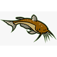 Cat Fish|CFISH_CFISH币价格_CFISH最新价格_CFISH交易所