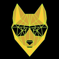Dingo Token|DINGO_DINGO币价格_DINGO最新价格_DINGO交易所