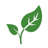 CryptoLeaf|CLF_CLF币价格_CLF最新价格_CLF交易所