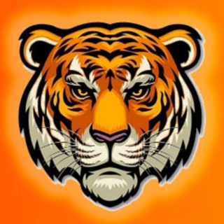 TIGER COIN|TIGER_TIGER币价格_TIGER最新价格_TIGER交易所