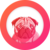 TOPDOG Vault (NFTX)|TOPDOG_TOPDOG币价格_TOPDOG最新价格_TOPDOG交易所