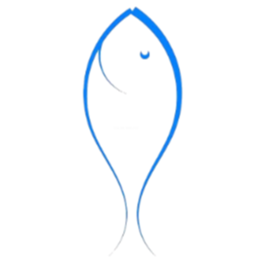 Fish Capital COIN|FCC_FCC币价格_FCC最新价格_FCC交易所