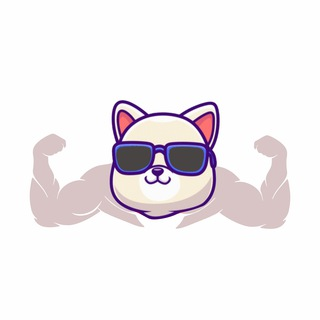 Buffed Kishu|BKISHU_BKISHU币价格_BKISHU最新价格_BKISHU交易所