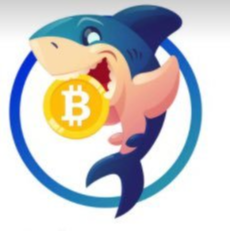 Baby KShark|BKS_BKS币价格_BKS最新价格_BKS交易所