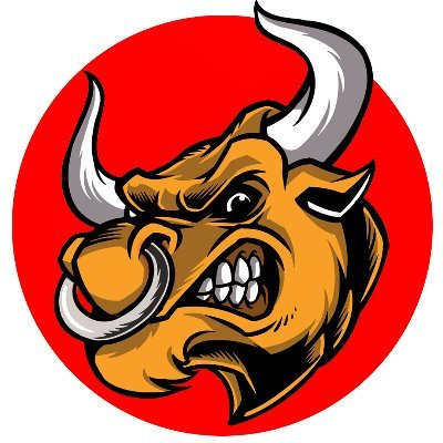 Bullshit Inu|BULL_BULL币价格_BULL最新价格_BULL交易所