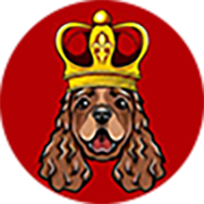 DogeKINGS|DOGEKINGS_DOGEKINGS币价格_DOGEKINGS最新价格_DOGEKINGS交易所