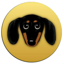 Dachshund|DSD_DSD币价格_DSD最新价格_DSD交易所