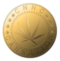Cannation|CNNC_CNNC币价格_CNNC最新价格_CNNC交易所