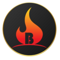 Baby BitBurnReflect|BBBR_BBBR币价格_BBBR最新价格_BBBR交易所